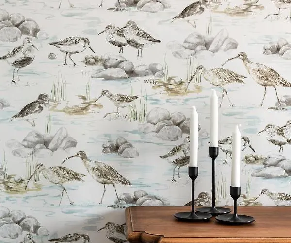 Bellevue Apartment *